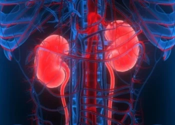 insuficiência renal, problemas renais, doença dos rins